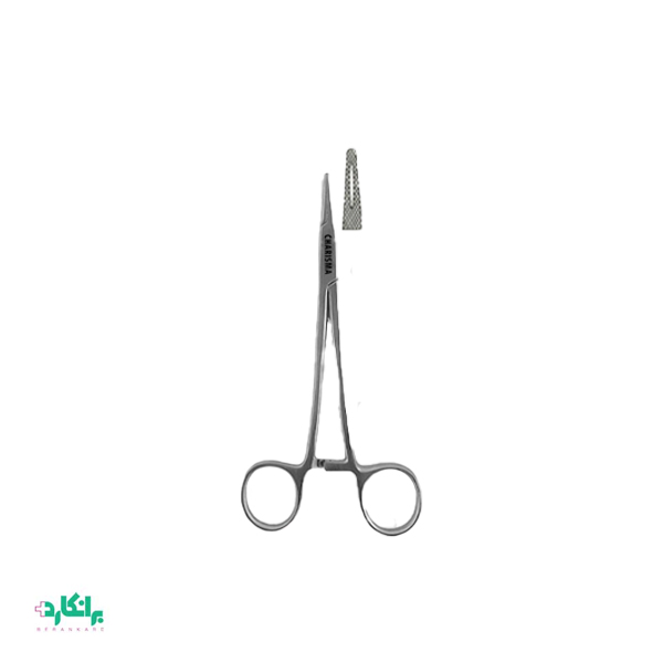 سوزنگیر کاریزما