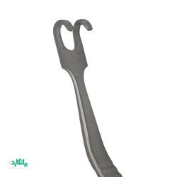 هوک آفریخت  بینی با سر کند ( بلانت )